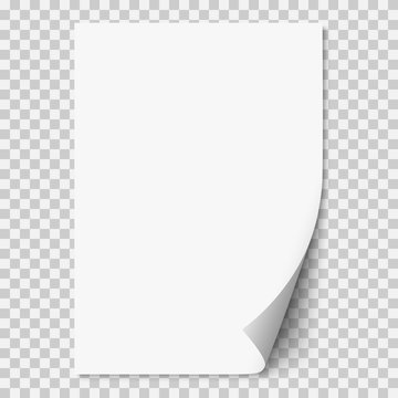 Vector white realistic paper page with curled corner.