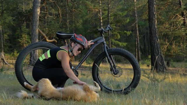 Fat bike also called fatbike or fat-tire bike in summer riding in the forest. Beautiful girl and her bicycle in the forest. She met the dog in the woods and stroked her. The dog is very kind and good.