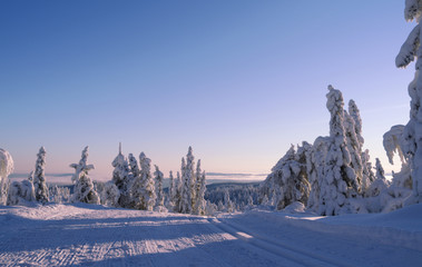 Norefjell / Norway: Beautiful distance view from the cross-country ski trail over the dreamy winter landscape
