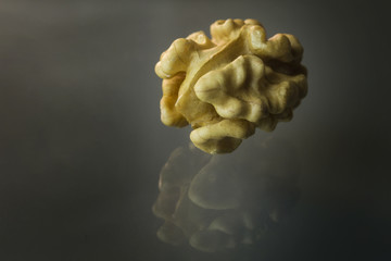 Walnut kernel on black background reflected