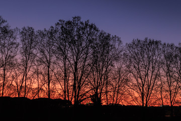 Sunset with trees backlit in the countryside. Armospheric phenomena concept