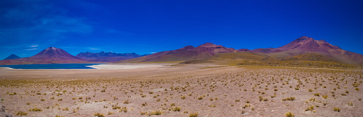 Laguna Mi&ntilde;iques / Deserto do Atacama - Chile