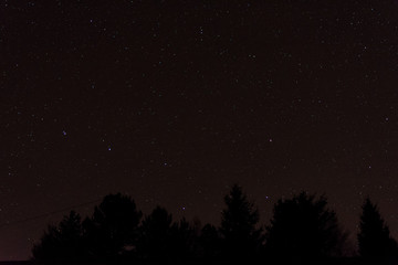 The night sky with the big dipper and the silhouette of trees in the foreground