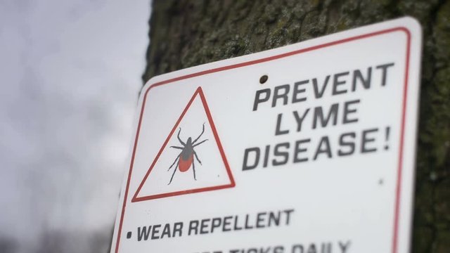 Lyme Disease Warning Sign