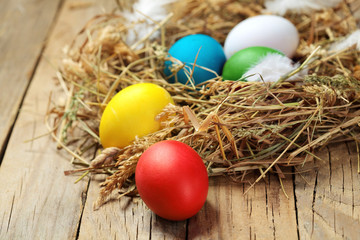 Fototapeta na wymiar Colorful easter eggs.Colored chicken eggs in nest with white feather.On wooden background.Copy space.Easter background. Copy space
