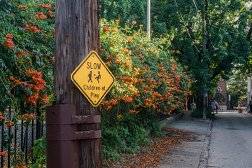 Slow children at play sign with fall leaves in backdrop