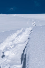 A single skier touring track imprint in new powder snow