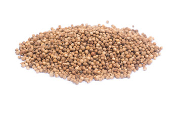 .coriander seeds isolated on white background