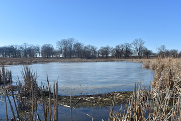 Frozen Lake Under Blue Sky