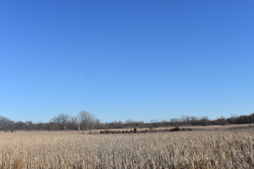 Farm Field Under Blue Sky