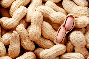 落花生 ピーナッツ ピーナツ 豆 複数