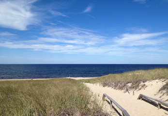 View of sand beach access framed by beachgrass at Race Point Beach near Provincetown, Massachusetts, USA with blue sky and ocean on a sunny day