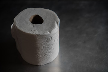 a roll of toilette paper, plain