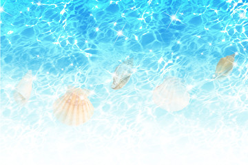 Obraz na płótnie Canvas 夏のブルーのイメージ 貝殻 