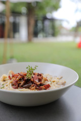 pasta fettuccine alfredo white sauce with ham bacon and mushroom