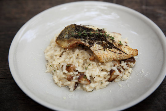 risotto with sea bass fillet steak on wood background , italian food