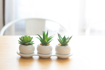 Beautiful fake cactus in white pot on wooden table