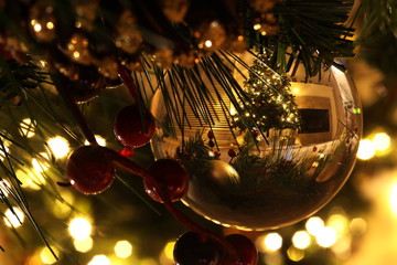 Christmas in a Lens