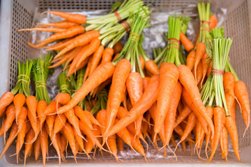 Group of fresh baby carrots in morning market.Thailand.