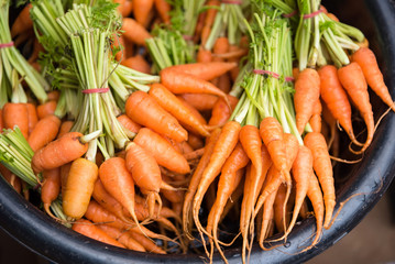 Group of fresh baby carrots in morning market.Thailand.