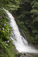 Fototapeta premium 佐賀県唐津市の見帰りの滝