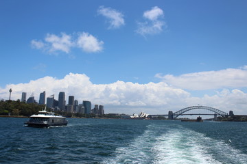 Obraz premium Sydney Ferry To Manly Beach . Manly Ferry .Sydney .Australia 