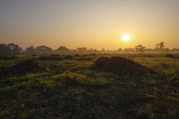 landscape of morning in winter at sunrise