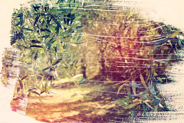 dreamy and abstract image of the forest. double exposure effect with watercolor brush stroke texture.