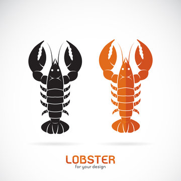 Vector of lobster design on white background. Sea Animal. Seafood. Easy editable layered vector illustration.
