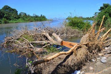 Tala. Palomino, La Guajira- Colombia. 