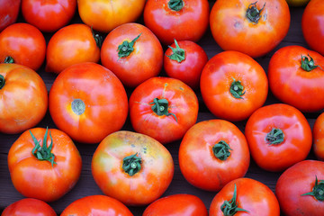 fresh farm picked tomatoes as food background