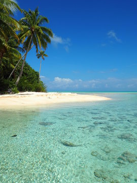ile de Fakarava, archipel des Tuamotus