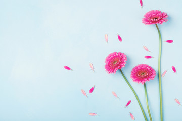 Obraz premium Piękne wiosenne różowe kwiaty na niebieski pastelowy stół widok z góry. Kwiatowa granica. Płaski styl świecki.
