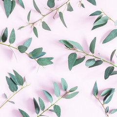 Eucalyptus leaves on pink background. Pattern made of eucalyptus branches. Flat lay, top view, square