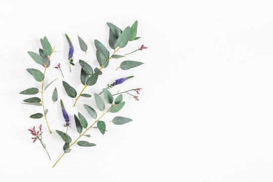 Flowers composition. Pattern made of purple flowers and eucalyptus branches on white background. Flat lay, top view, copy space