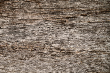 Fototapeta premium background of wooden bark texture