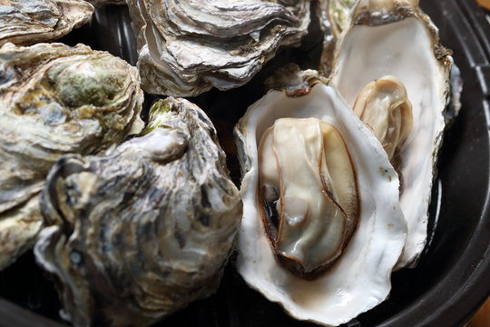 牡蠣の酒蒸し　Oysters steamed with Japanese sake