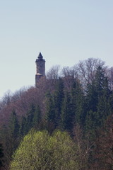 Bajkowa wieża zamku Grodno, usytuowana na zboczu góry w górach Sowich
