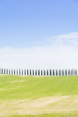 Obraz premium Tuscany landscape