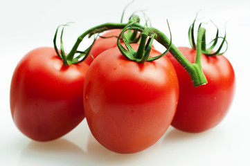 Fresh tomatoes in the sun, on the wooden sticky board more natural and delicious