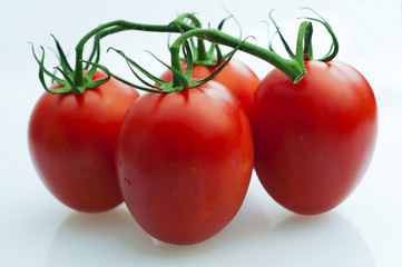 Fresh tomatoes in the sun, on the wooden sticky board more natural and delicious