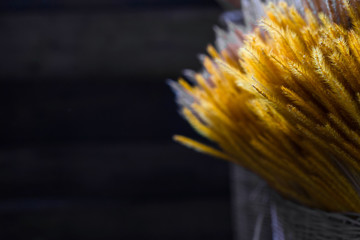Close-up beautiful yellow reeds grass flower in wedding. concept of decoration, ceremony, event and celebration.