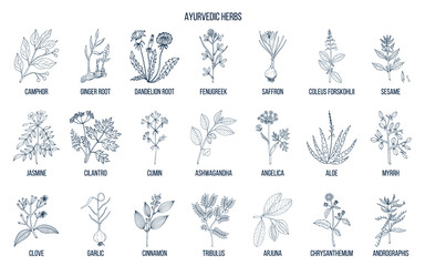 Ayurvedic herbs, natural botanical set