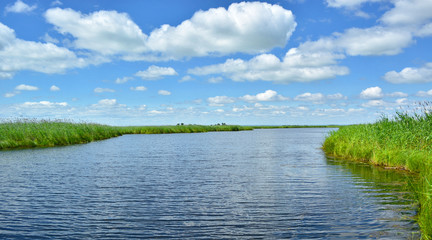 The water to the horizon and the green reeds.
