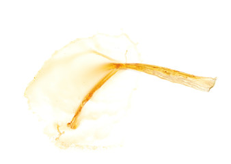 Splash of liquid in motion isolated