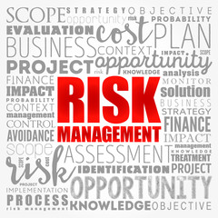 Risk Management word cloud collage, business concept background