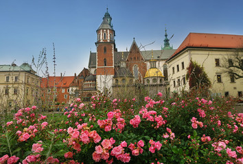 Fototapeta na wymiar charming Wawel in Krakow in rose blossom