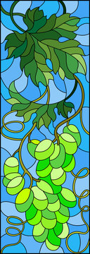 The illustration in stained glass style painting with a bunch of green grapes and leaves on blue background,vertical image