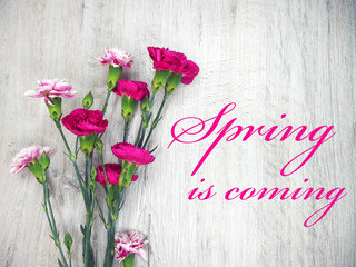 Pink flowers on a light wooden background spring is coming