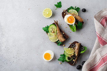Fish sandwiches with sprats, cucumber, lime, boiled eggs, parsley leaves and mango on rye bread on a gray old concrete or stone background. Selective focus. Rustic style. Top view. Copy space.